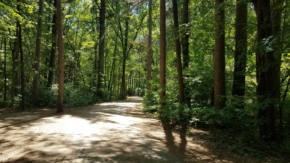 DEER LAKE CAMPGROUND CHIPPEWA NATIONAL FOREST Updated October 2024