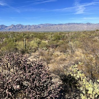 Saguaro National Park - Parks Near Me - Tucson, Arizona Saguaro National Park - Parks Near Me - Tucson, Arizona