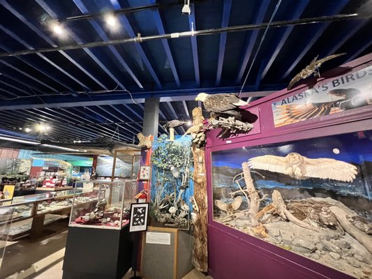 Alaska Museum of Science and Nature by null