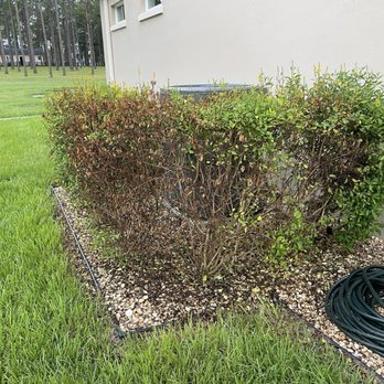 Massey Services - Burned! - Pest Control Near Me - Leesburg, Florida Massey Services - Burned! - Pest Control Near Me - Leesburg, Florida