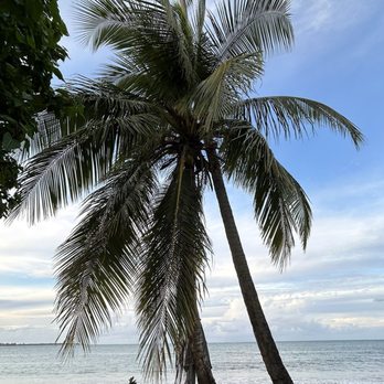 Terruño - The beach across the street. - Caribbean Near Me - Luquillo, Puerto Rico
