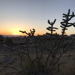 Embudo Canyon Trailhead