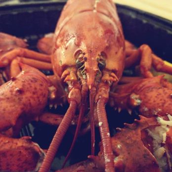 Mitchell’s Seafood House - Maine Lobster - Seafood Near Me - Lansing, Michigan Mitchell’s Seafood House - Maine Lobster - Seafood Near Me - Lansing, Michigan