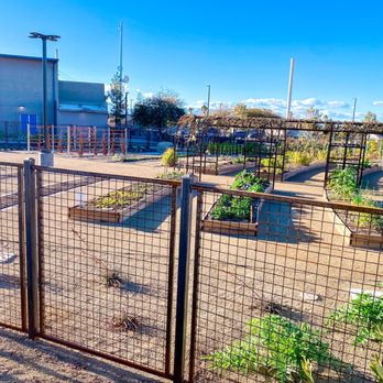 Pumpkin Park - Parks Near Me - Henderson, Nevada Pumpkin Park - Parks Near Me - Henderson, Nevada