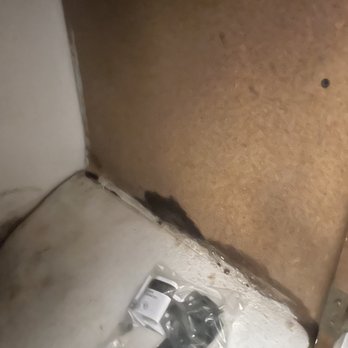 Tarantino Properties - Mold is everywhere. - Property Management Near Me - San Antonio, Texas