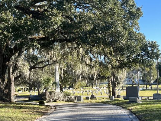 Greenwood Cemetery by null