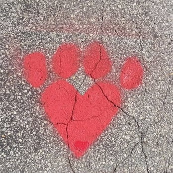 All 4 Paws - Pet Groomers Near Me - Newark, Delaware All 4 Paws - Pet Groomers Near Me - Newark, Delaware
