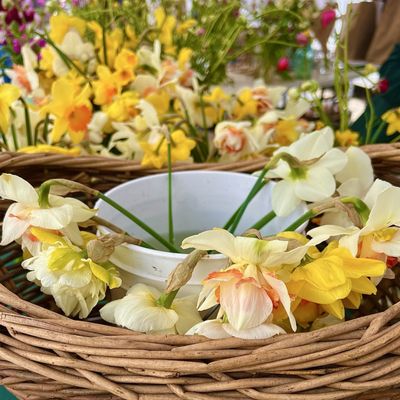 Evanston Farmers' Market by null