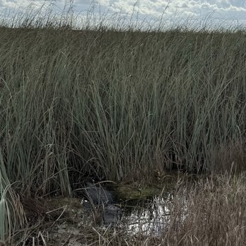 Coopertown Airboats - Boat Tours Near Me - Miami, Florida Coopertown Airboats - Boat Tours Near Me - Miami, Florida