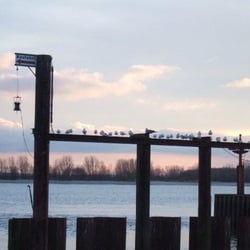 Schulauer Strand