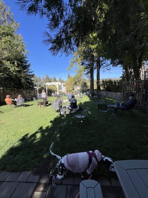 Watershed Coffee Roasters (formerly Looney Bean Bend) by null