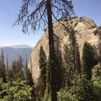 Sequoia Sightseeing Tours - Tours Near Me Sequoia Sightseeing Tours - Tours Near Me