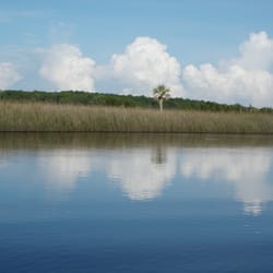 Florida Kayak School and Tours - The Big Bend area of Florida offers a wide variety of kayaking experiences. Call or e-mail for a customized tour or kayaking skills classses