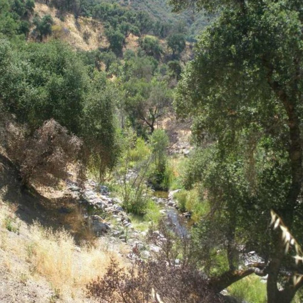 Arroyo Seco Campground - Campgrounds Near Me - Greenfield, California