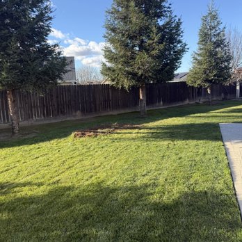 Trash N Dash - Junk Removal & Hauling Near Me