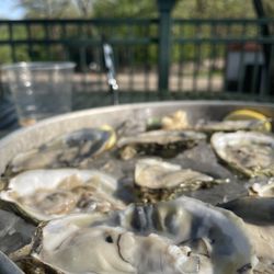 Sea Salt Eatery - Raw Oysters On Half-shell