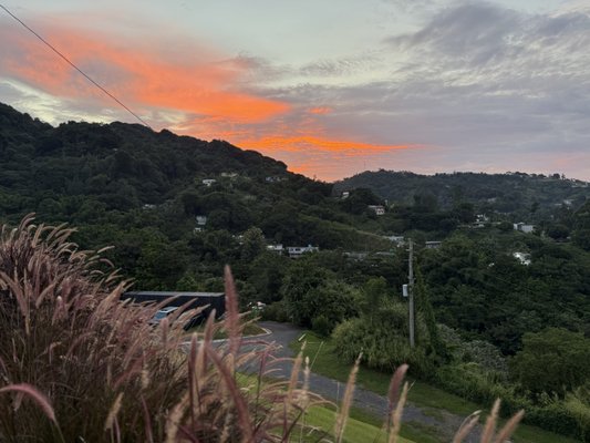 Calichi Gastrobar by null