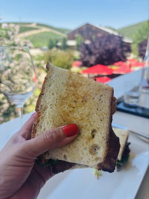 Parrish Family Vineyard by null