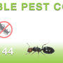 Photo of Ultra Tech Pest Control