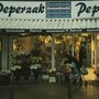 Photo of Peperzak