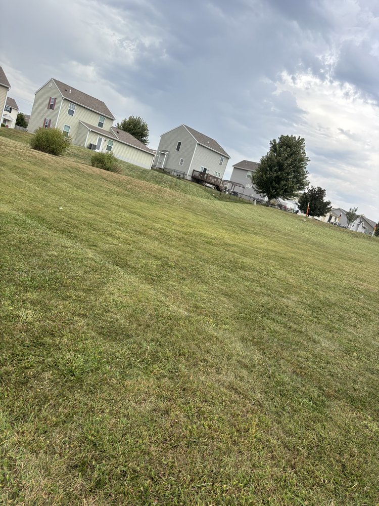 The Lawn Barber - tree service in Des Moines, IA