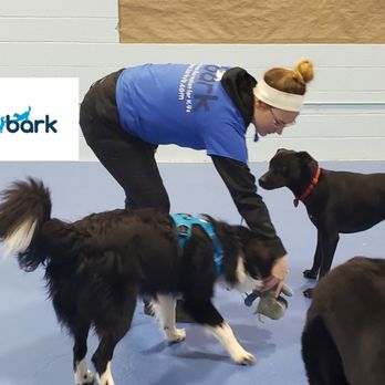 Bark - Pet Training Near Me - Virginia Beach, Virginia