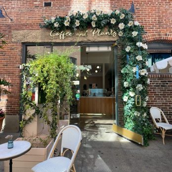 Coffee and Plants - Coffee & Tea Near Me - Pasadena, California Coffee and Plants - Coffee & Tea Near Me - Pasadena, California