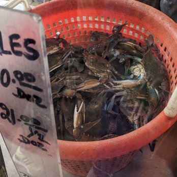 Anastasi Seafood - Crabs - Seafood Near Me - Philadelphia, Pennsylvania Anastasi Seafood - Crabs - Seafood Near Me - Philadelphia, Pennsylvania