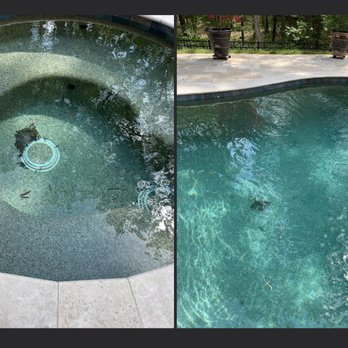 Clear Water Pool Service - my pool after their service - Pool Cleaners Near Me Clear Water Pool Service - my pool after their service - Pool Cleaners Near Me