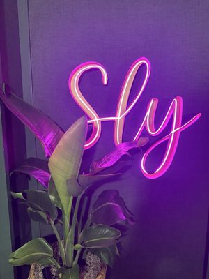 Sly Rooftop Bar by null