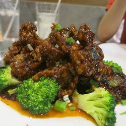 Sandy's Kitchen Chinese Cuisine - beef