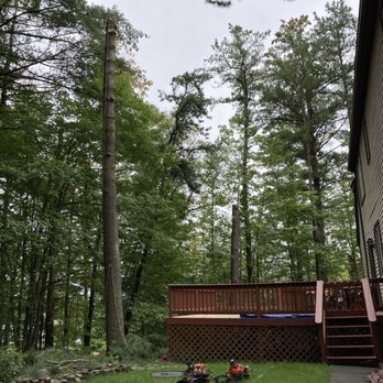 Thirty Pines Tree Care - Tree Services Near Me Thirty Pines Tree Care - Tree Services Near Me