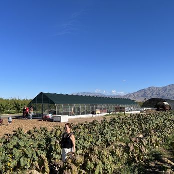 Gilcrease Orchard - Chicken coop - Fruits & Veggies Near Me - Las Vegas, Nevada Gilcrease Orchard - Chicken coop - Fruits & Veggies Near Me - Las Vegas, Nevada