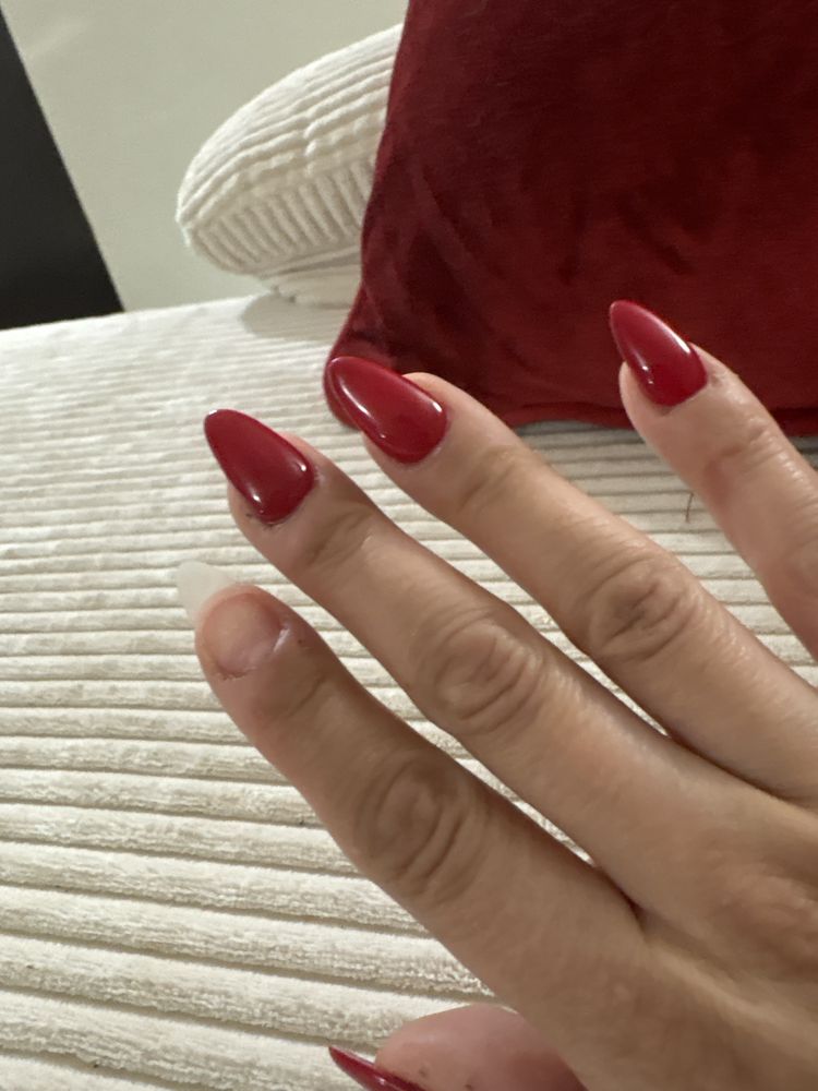 Alexander Nails Logo