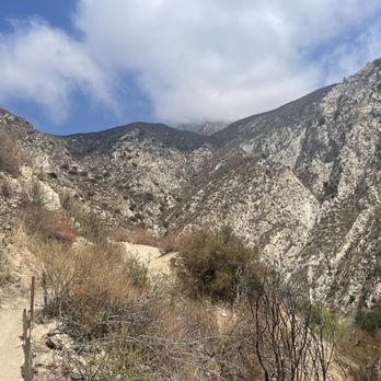 Trail Canyon Falls - Hiking Near Me - Tujunga, California