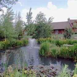 Cottonwood Creek Farm - Entrance to Cottonwood Creek Farm