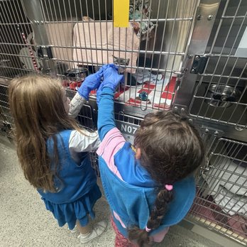 Pasadena Humane - Animal Shelters Near Me - Pasadena, California