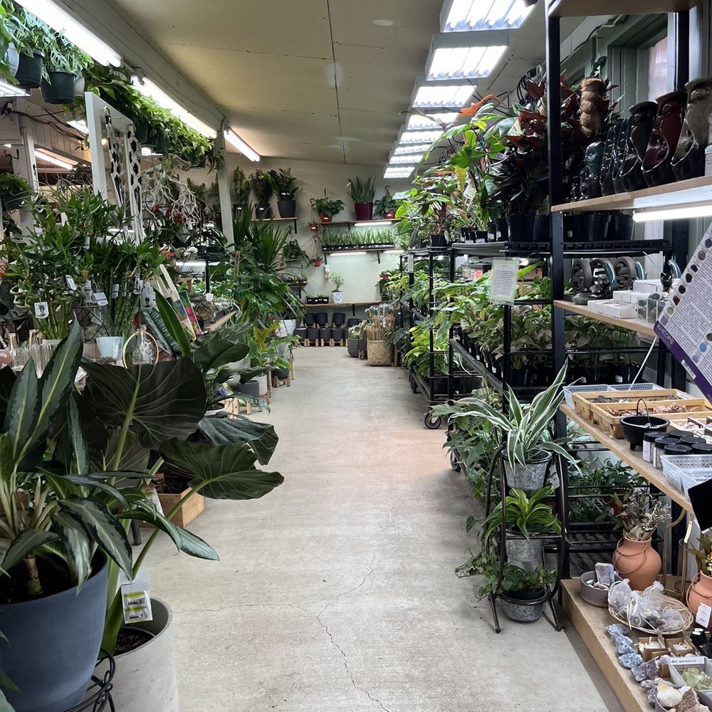 TOP 10 BEST Indoor House Plants in Seattle, WA - Updated 2026 - Yelp