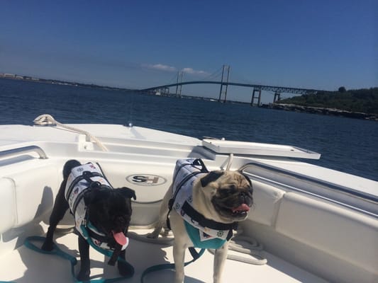 Wickford Boat Rentals by null