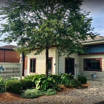 Towne Square Animal Clinic - Veterinarians Near Me - Blue Ash, Ohio Towne Square Animal Clinic - Veterinarians Near Me - Blue Ash, Ohio