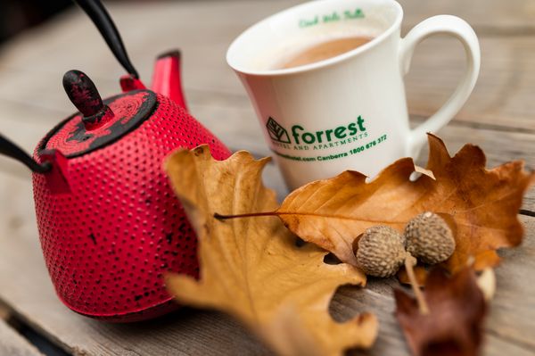 Forrest Hotel and Apartments by null