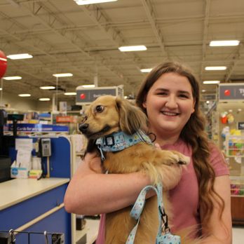 Emancipet - Veterinarians Near Me - Houston, Texas Emancipet - Veterinarians Near Me - Houston, Texas