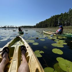 Lake Louisa State Park
