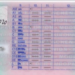 Fahrschule Woeste, - Führerschein Bestanden