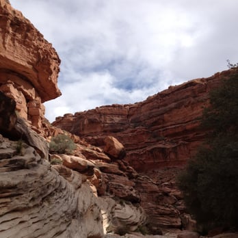 Havasu Falls - 8 miles of hiking before getting to the Havausupai Village from the lot - Hiking Near Me Havasu Falls - 8 miles of hiking before getting to the Havausupai Village from the lot - Hiking Near Me