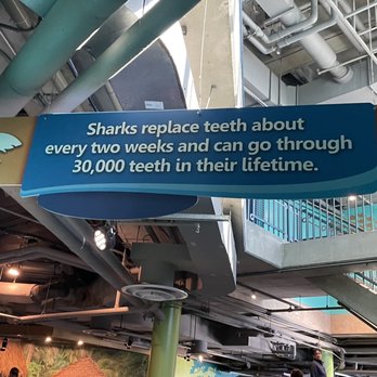 Adventure Aquarium - Aquariums Near Me - Camden, New Jersey Adventure Aquarium - Aquariums Near Me - Camden, New Jersey
