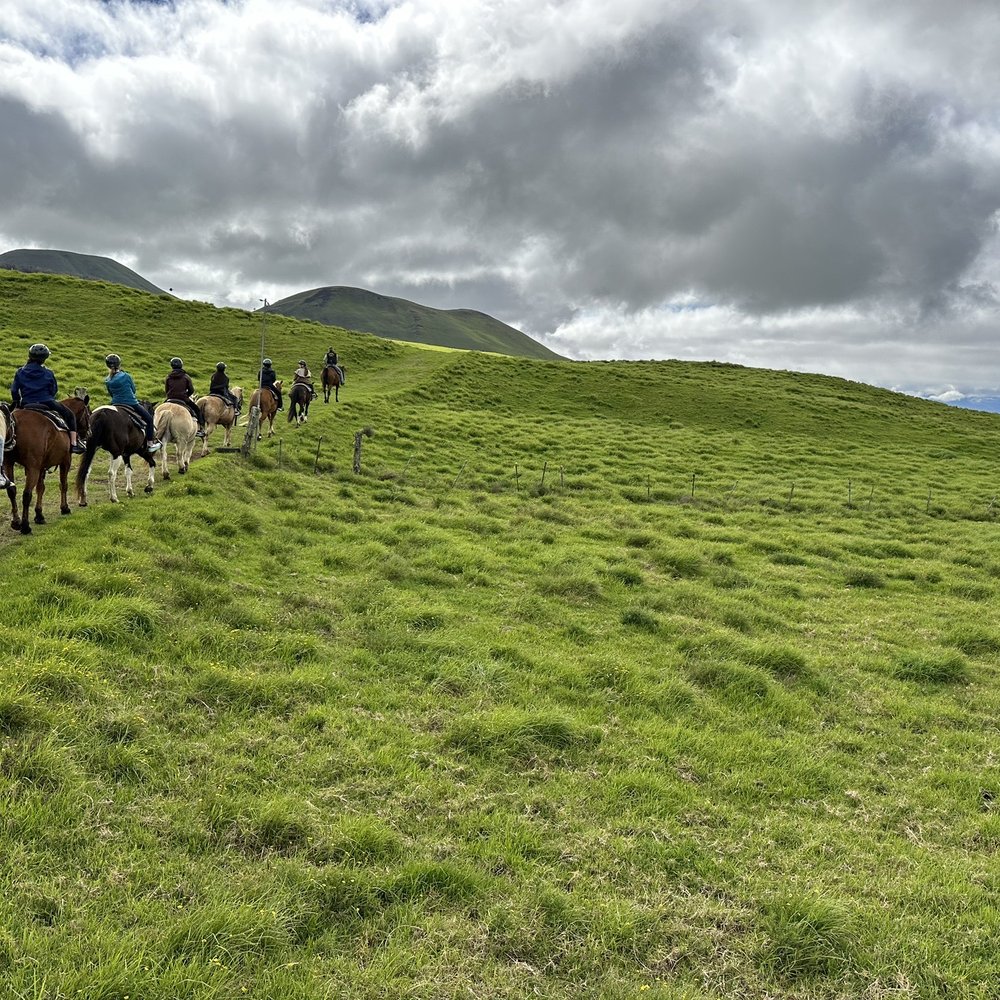Na'alapa Stables - Horseback Riding Near Me - Kamuela, Hawaii Na'alapa Stables - Horseback Riding Near Me - Kamuela, Hawaii