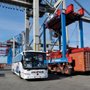 Photo of Auge in Auge mit den Giganten - REISERING Hamburg RRh GmbH