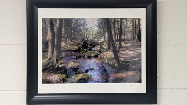 Franklin Square Public Library