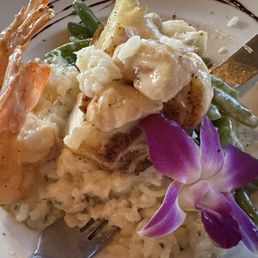 Chilean Sea Chilean Seabass Chilean Sea Chilean Seabass
